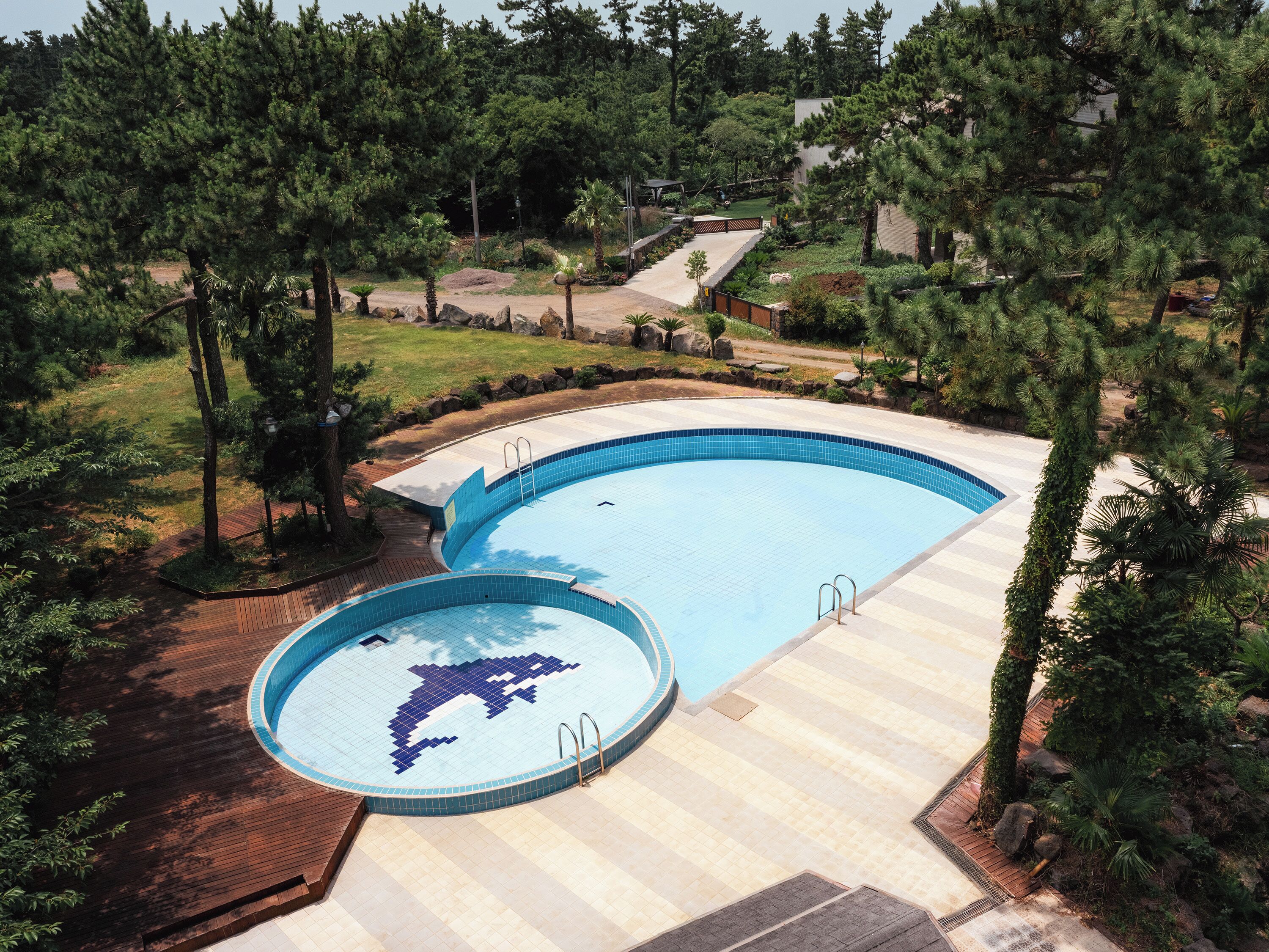 A swimming pool with a dolphin design, surrounded by trees and a wooden deck.