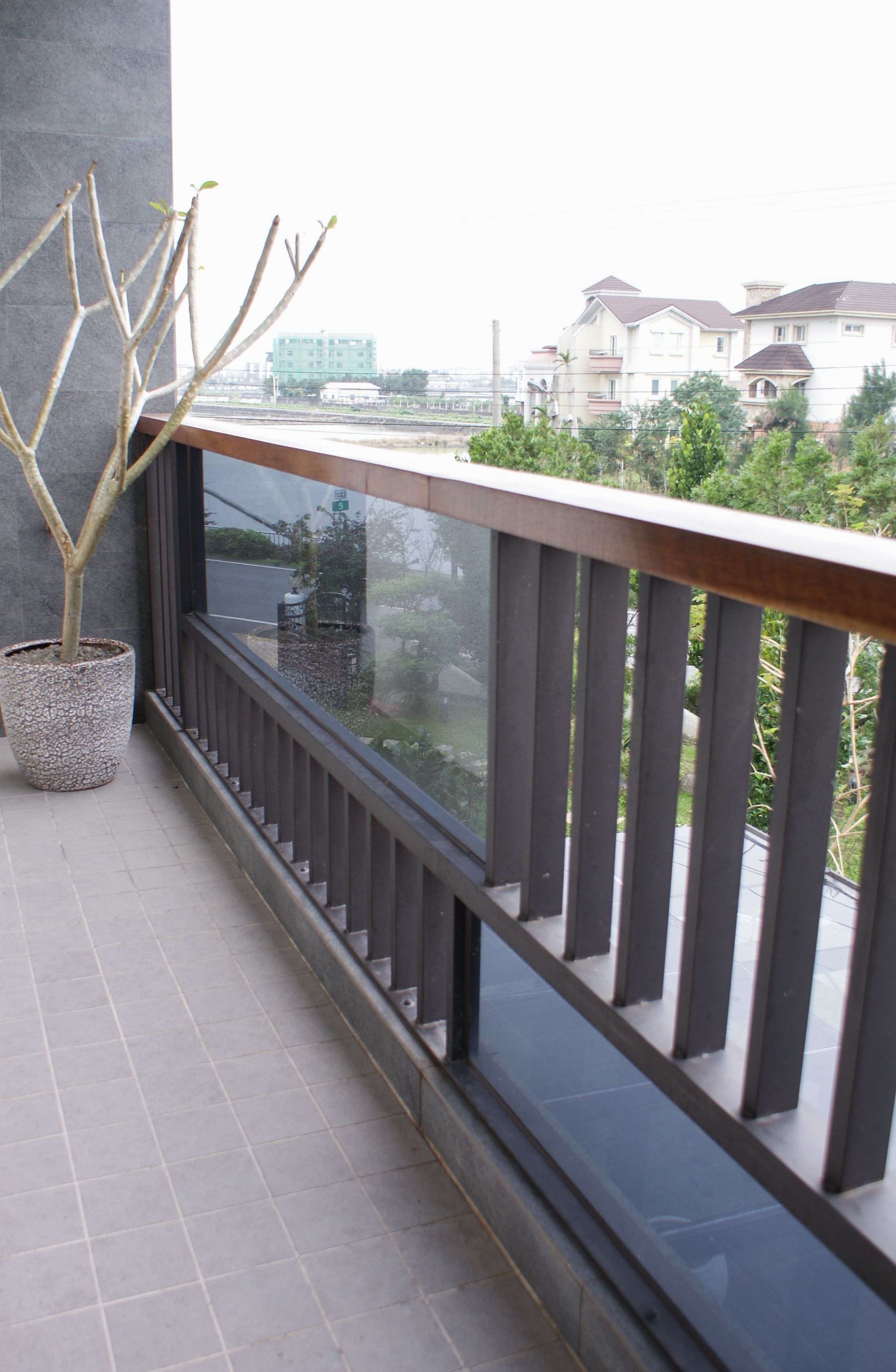 A balcony with a potted plant, a railing, and a view of residential buildings.