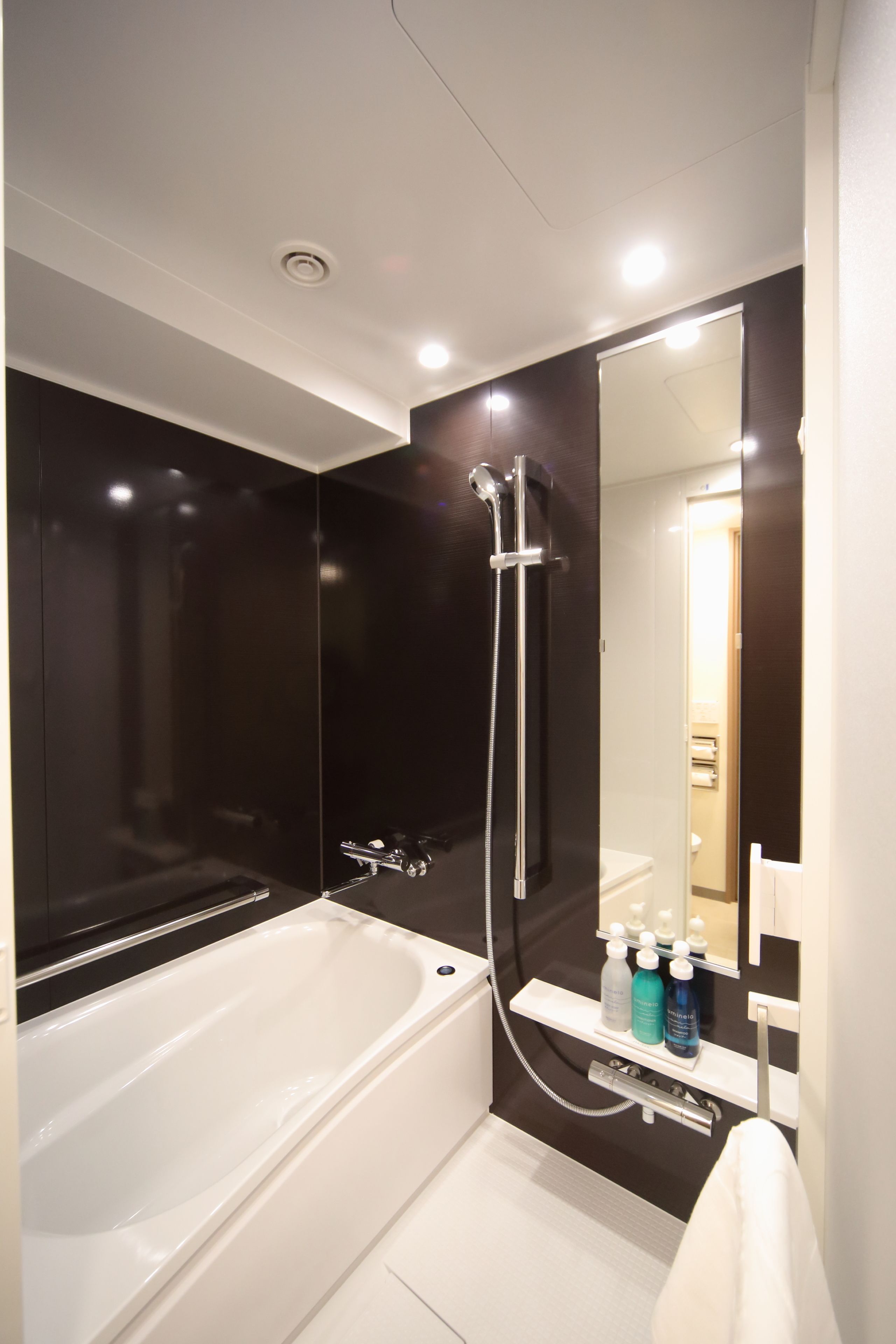 combined shower/bathtub, free toiletries, hair dryer, slippers