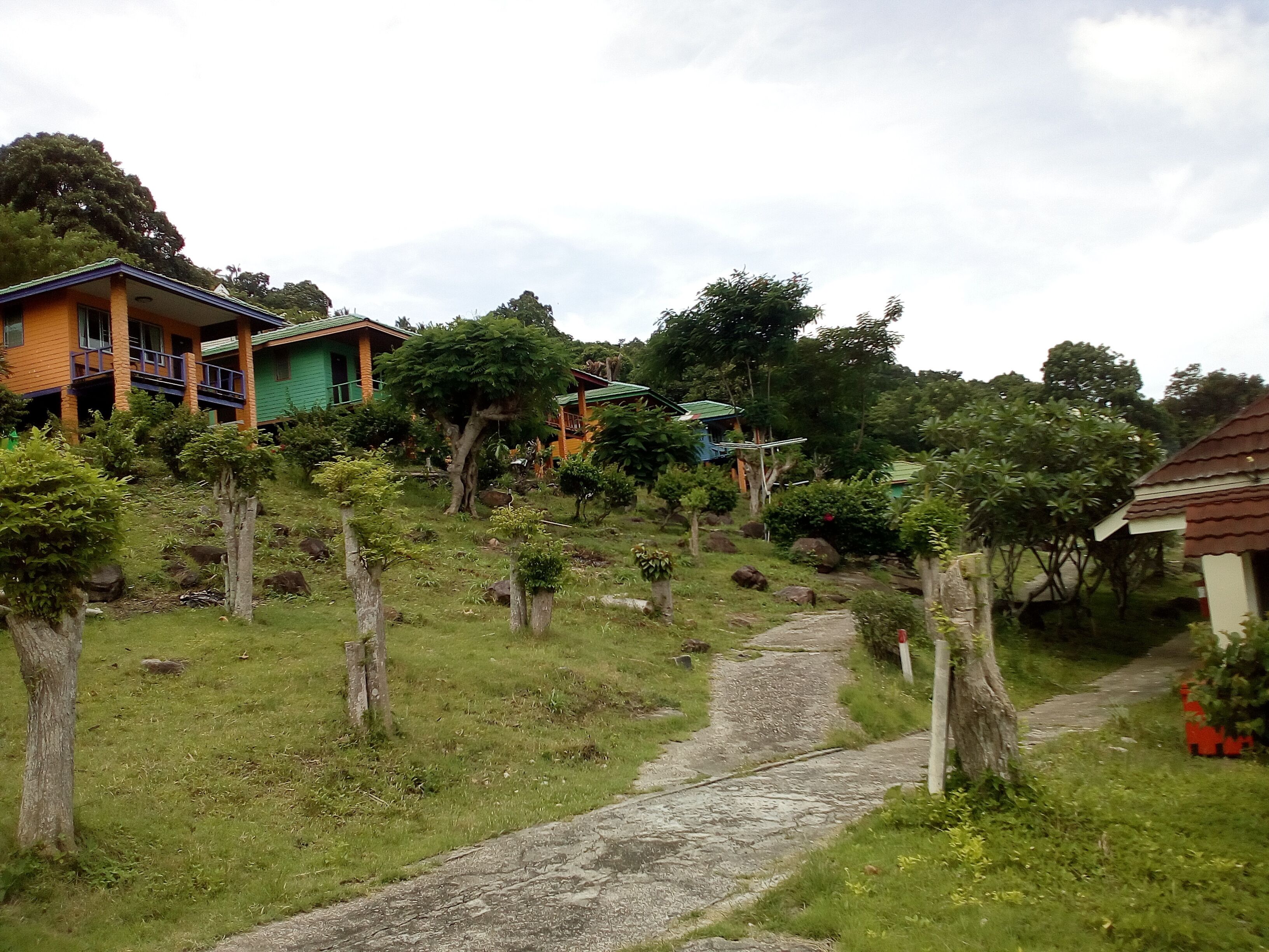 Zona residencial con casas, un sendero de piedra y árboles.