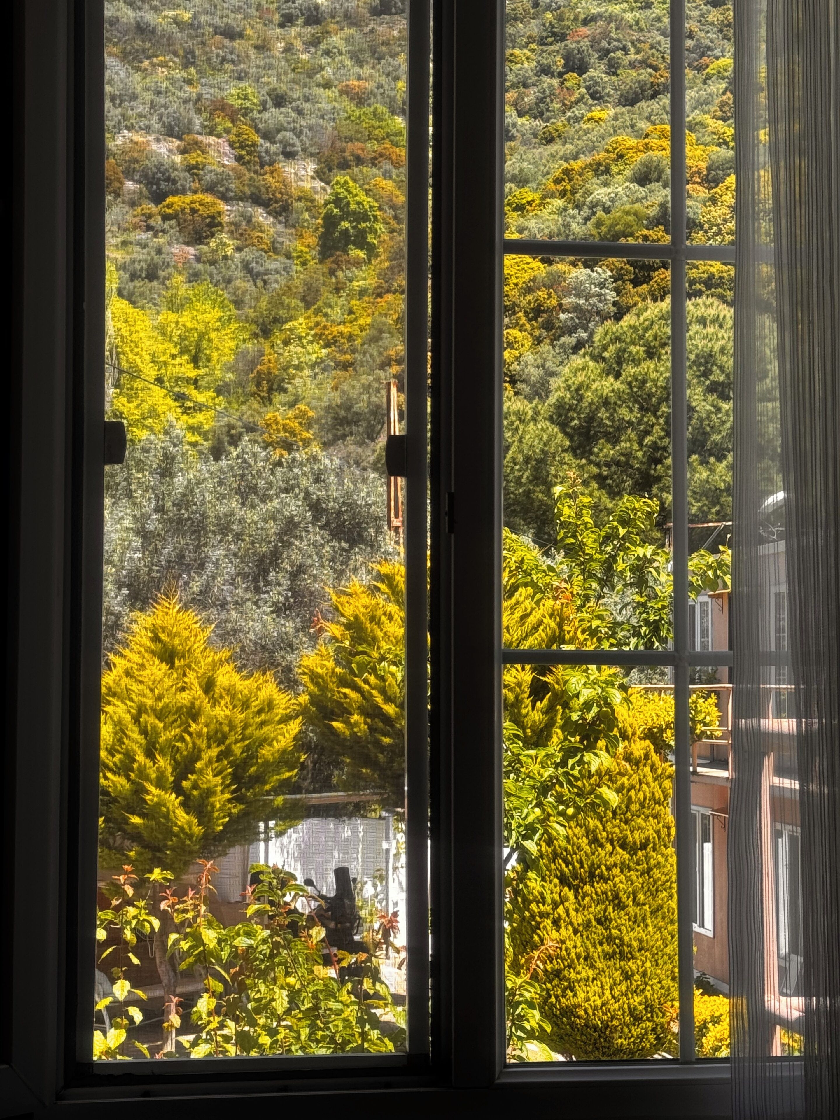 Room | Premium bedding, minibar, free WiFi, bed sheets