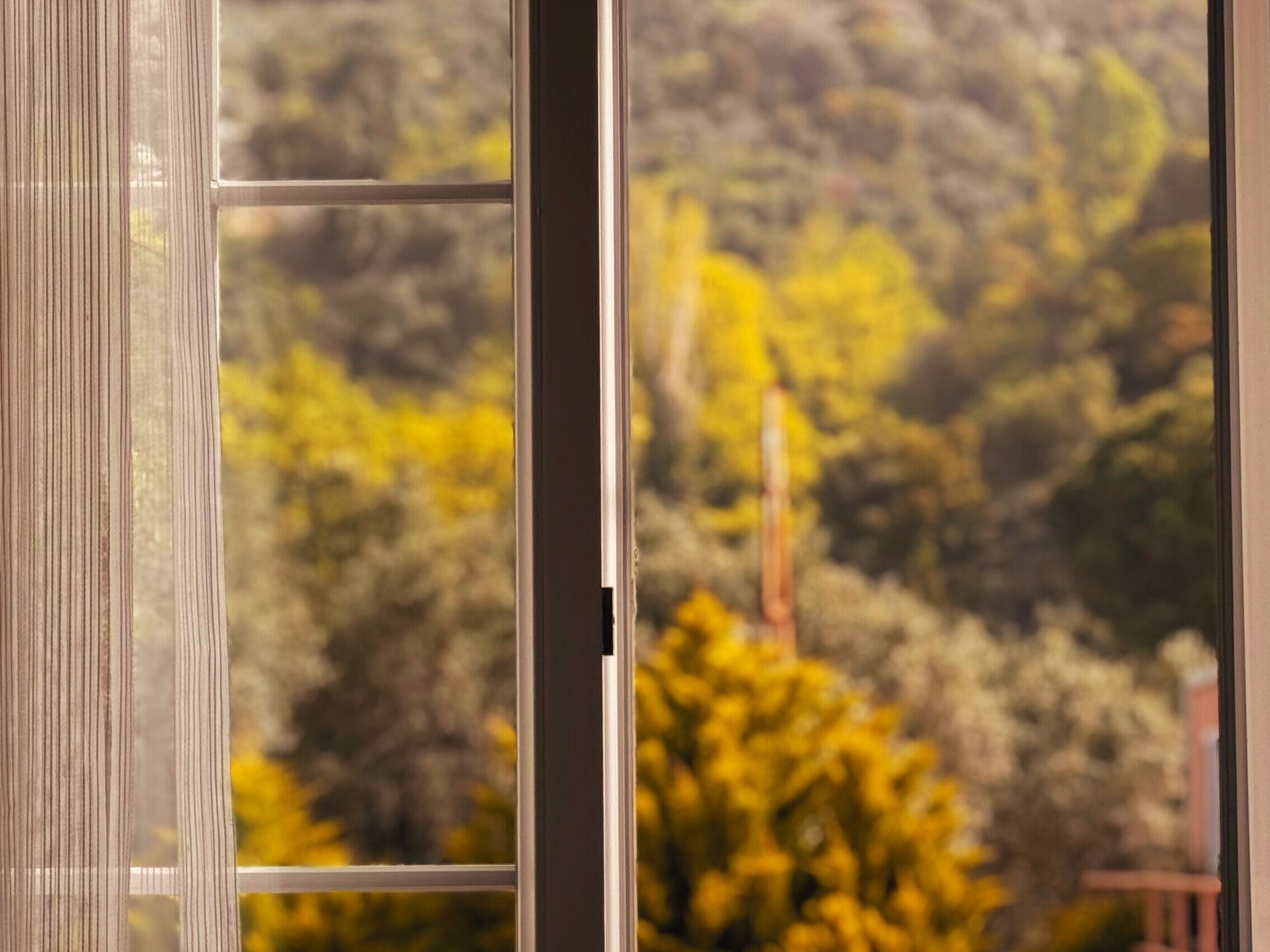 Room | View from room