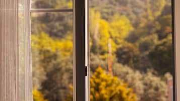 Room | View from room