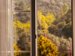 Chambre | Vue de la chambre