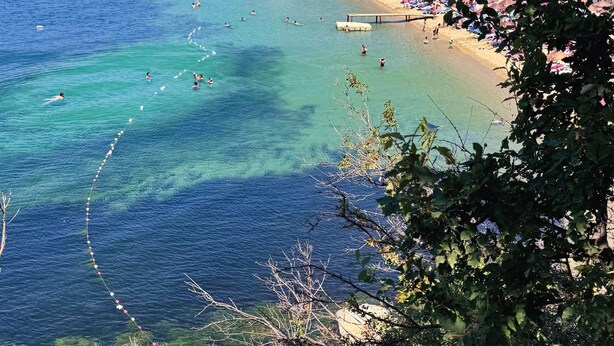 A coastal beach with clear waters, a sandy shore, and some vegetation in the foreground. - Ali Baba Butik Otel (Marmara)