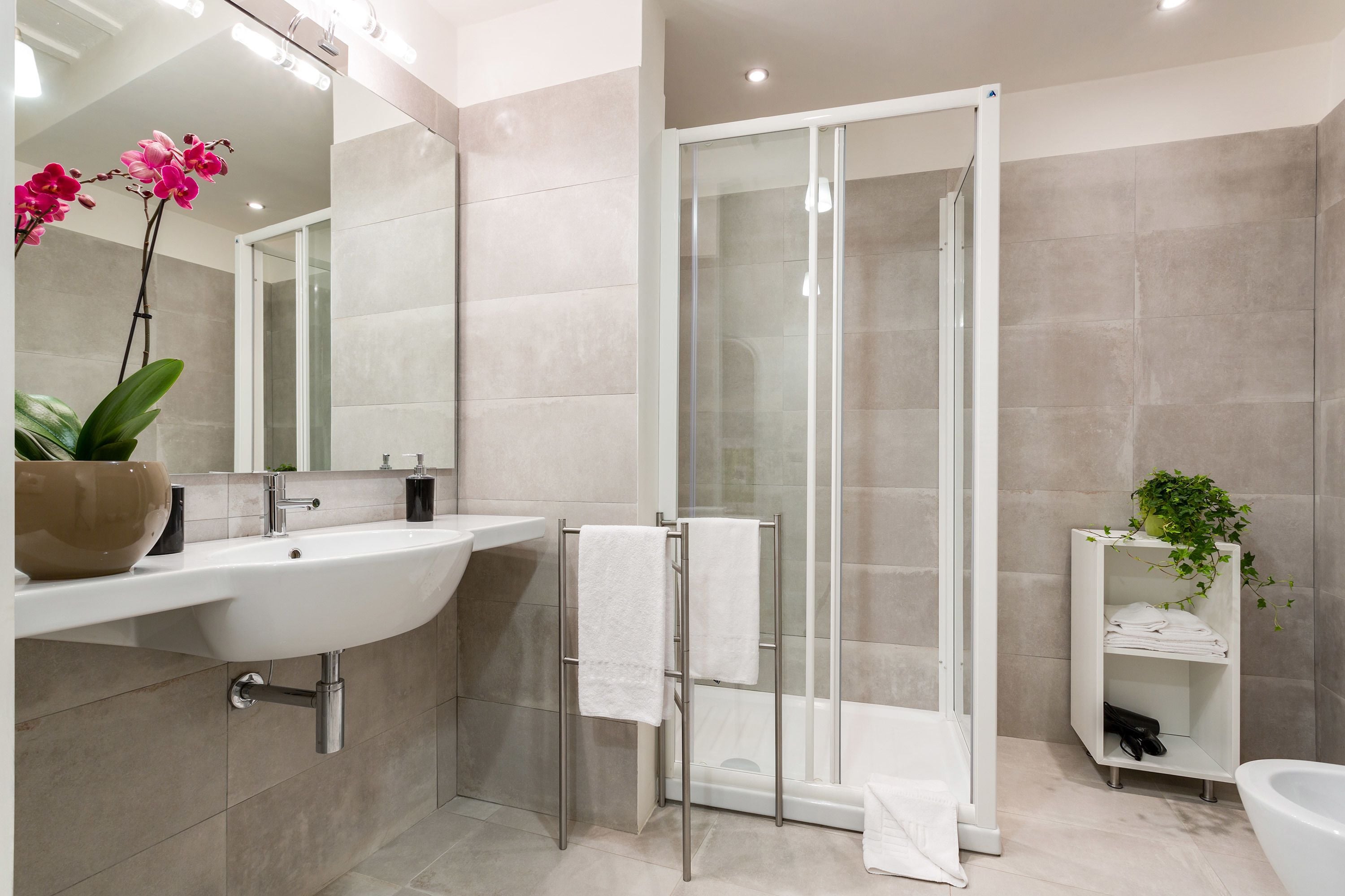 A modern bathroom with a glass shower enclosure, a white sink, and a small plant on a shelf.