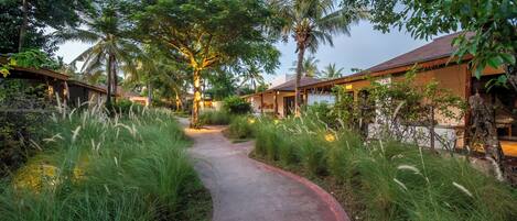 A pathway leading to a building surrounded by lush greenery and palm trees.