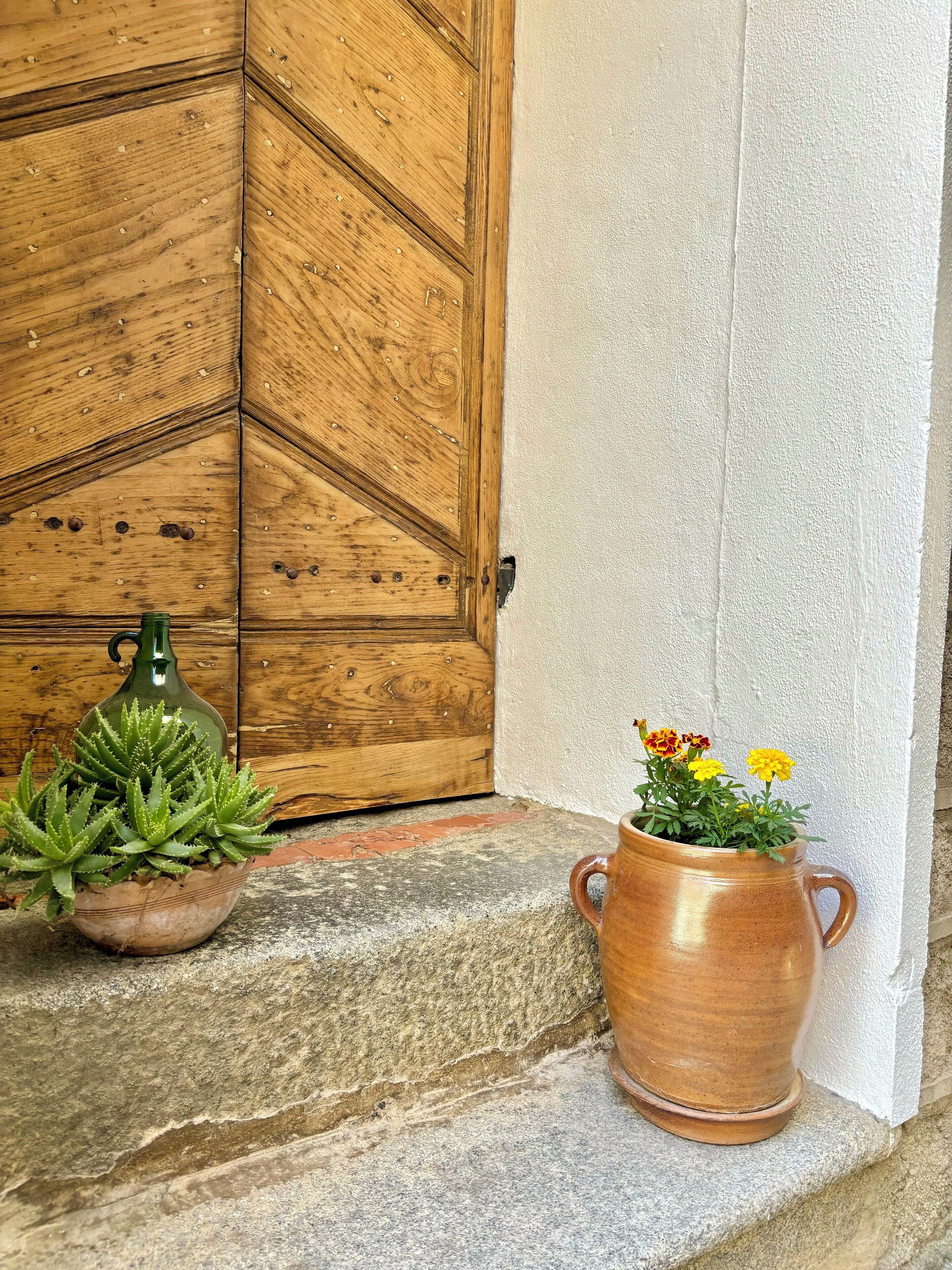 Une porte en bois ornée d’un motif géométrique, un pot en terre cuite contenant des fleurs jaunes et une plante succulente en pot, posés sur une marche de pierre.