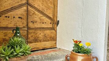 A wooden door with a geometric pattern, a terracotta pot with yellow flowers, and a potted succulent plant on a stone step.