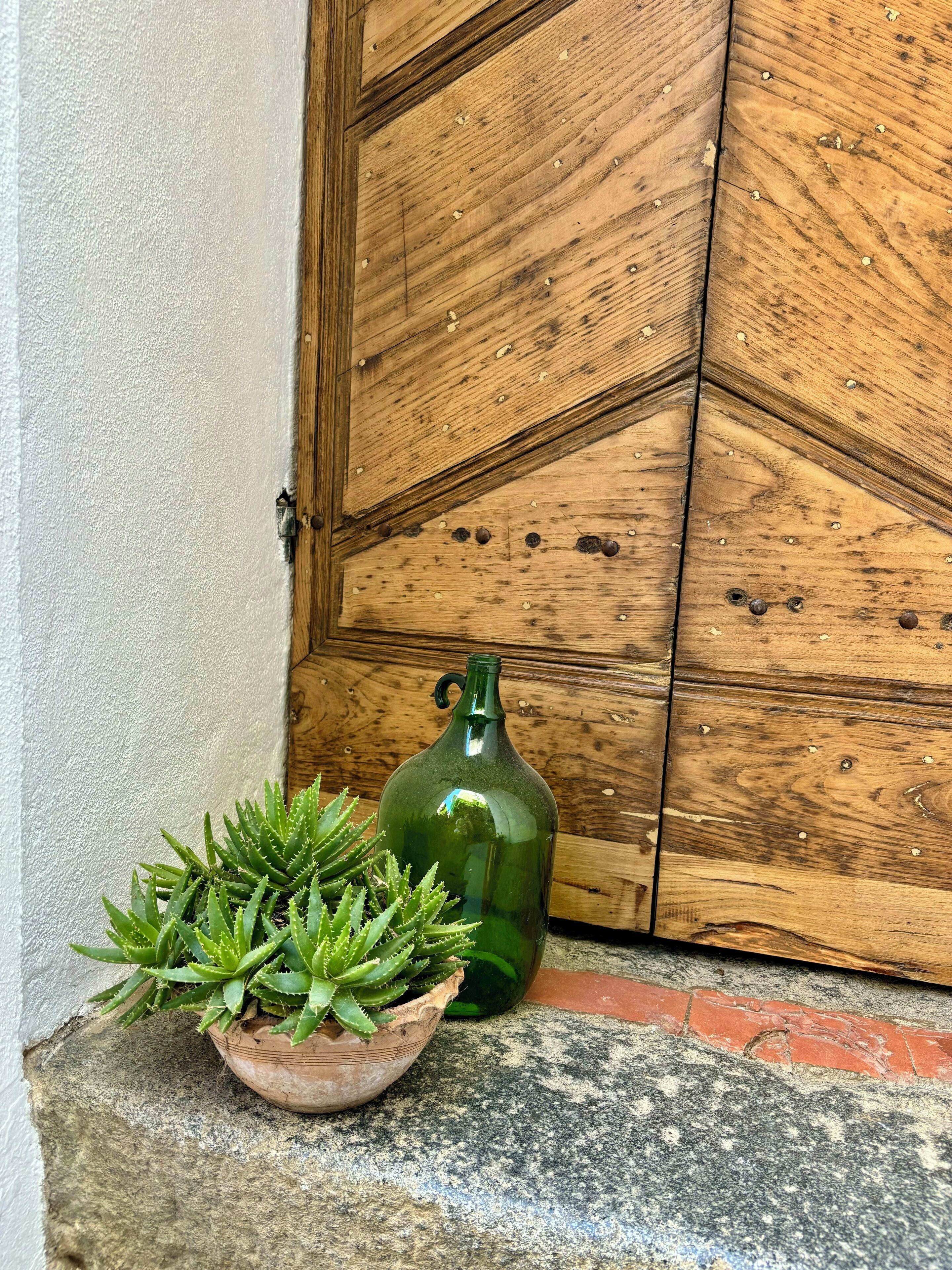 A cactus plant in a terracotta pot and a green glass bottle against a wooden door.