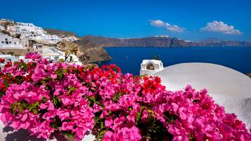 Vista costera con edificios blancos, cielo azul claro y vibrantes flores rosadas en primer plano.