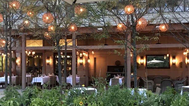 Un área de comedor al aire libre con mesas y sillas, rodeada de plantas y árboles.