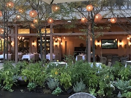 Lunch and dinner served