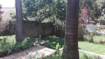 Room | Garden view