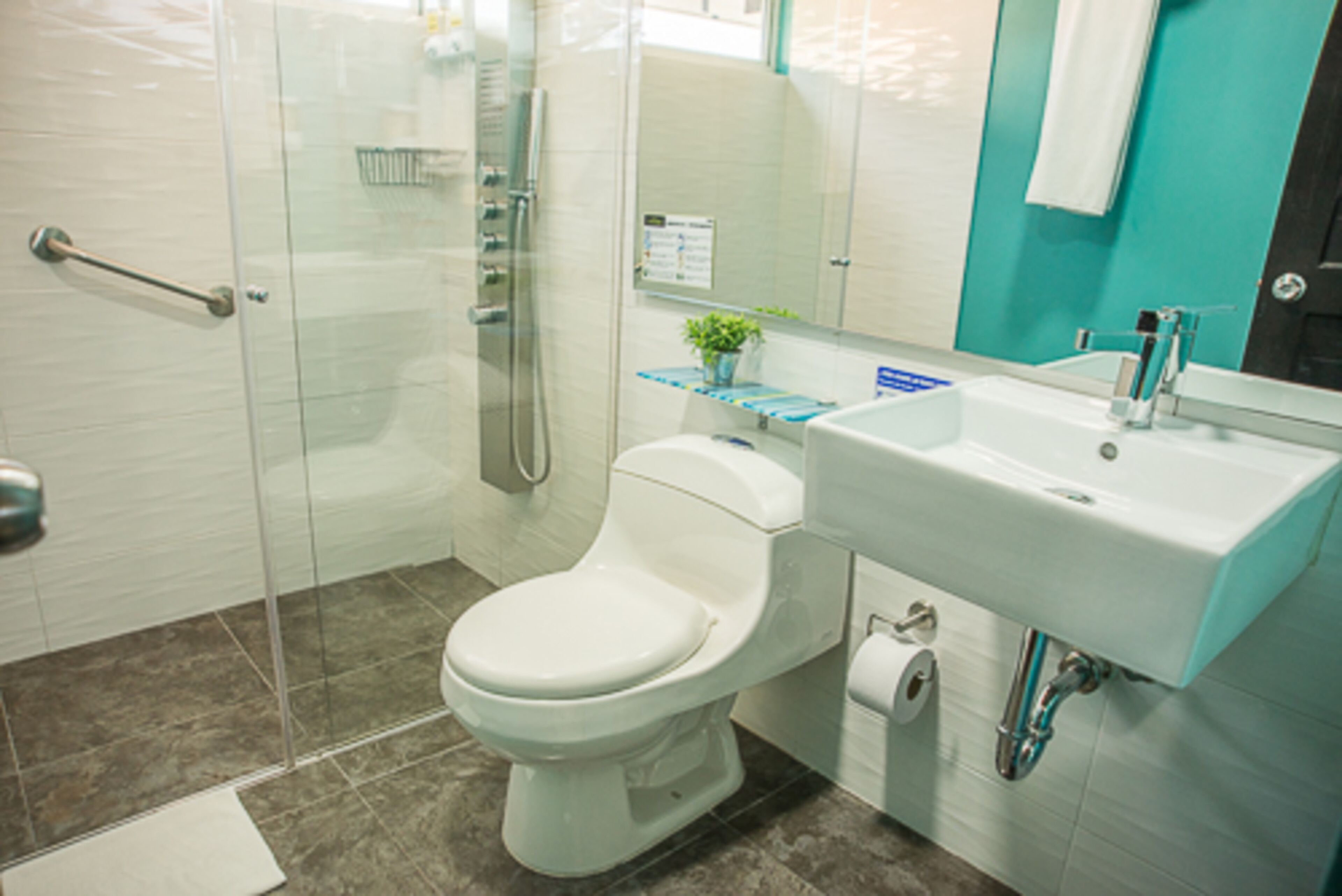 shower, free toiletries, hair dryer, towels