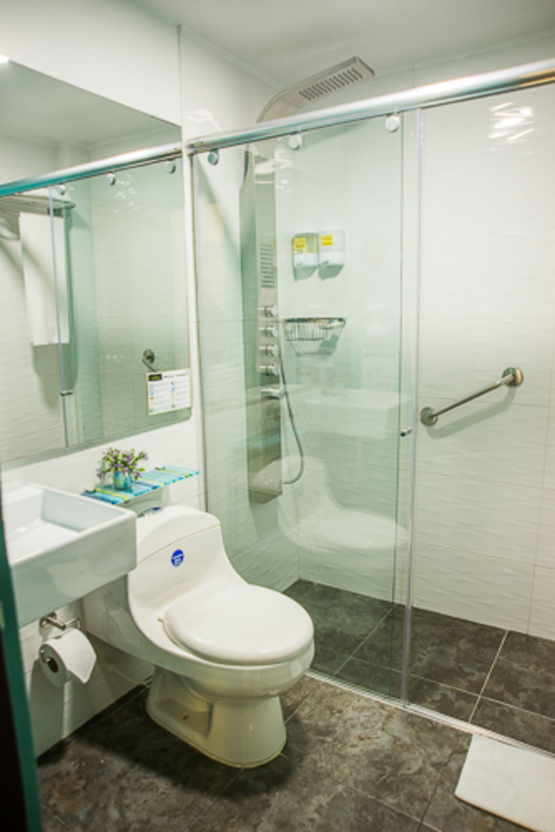 shower, free toiletries, hair dryer, towels