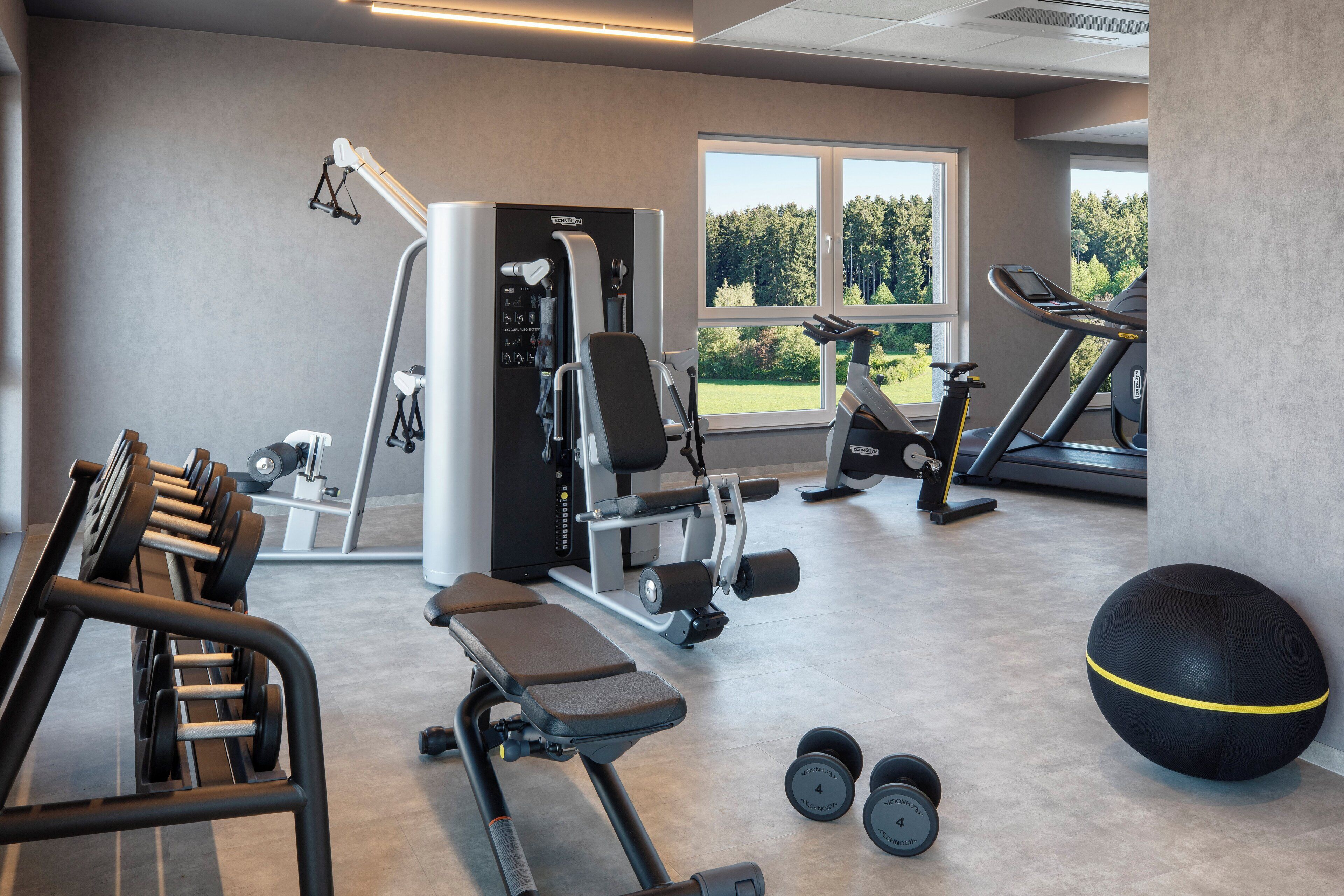 Une salle de sport équipée de matériel d’exercice, d’un banc, d’haltères et d’un grand ballon d’exercice.
