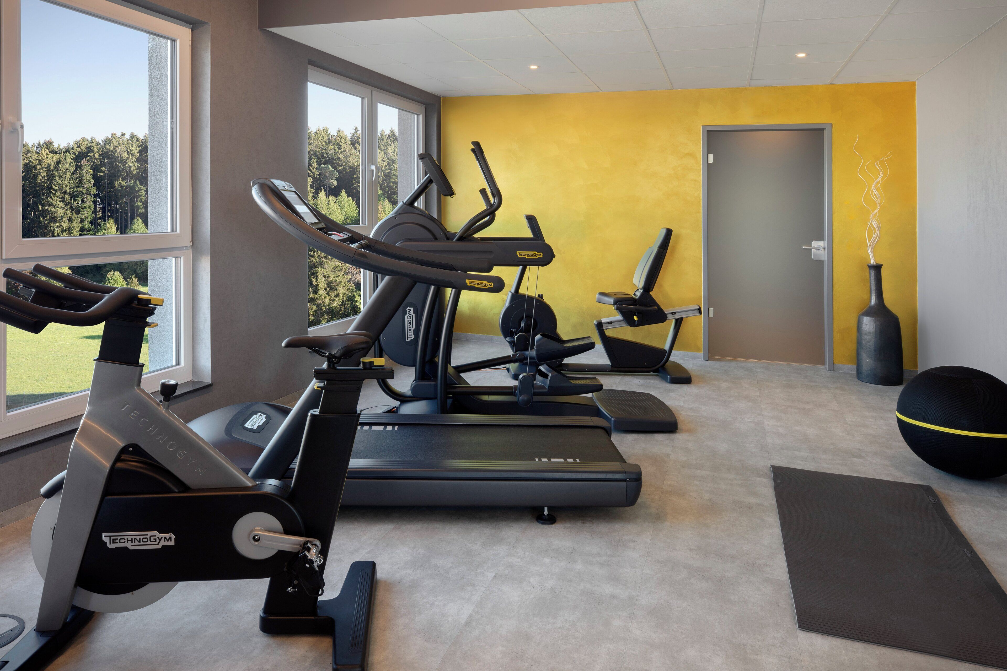 A gym with cardio machines, a yoga mat, and a punching bag.