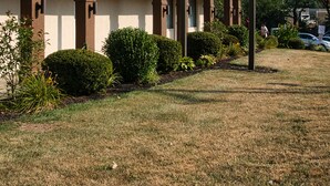 A Days Inn Super 8 motel with a prominent sign, a covered front porch, and well-maintained landscaping.
