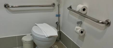 Baño estándar con inodoro, barra de apoyo, contenedor de basura y papel higiénico en la pared.