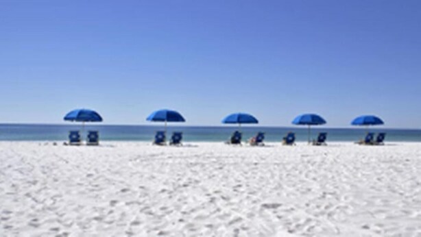 Una playa con varias sombrillas azules y sillas reclinables.