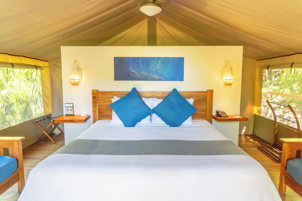 A spacious room with a large bed, wooden headboard, and two nightstands.