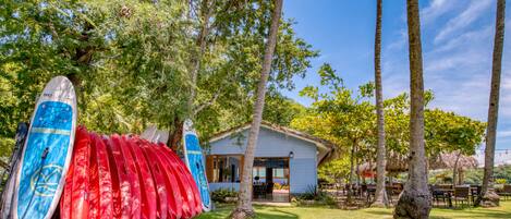 A building with a thatched roof, surrounded by palm trees and a grassy area.