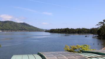 Japanese Style Room | View from room