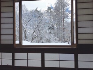 Twin Room, Non Smoking, Slope side | View from property - Hakuba Landmark Happo Lodge (Hakuba)
