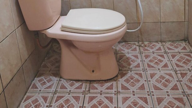Un baño con inodoro y ducha.