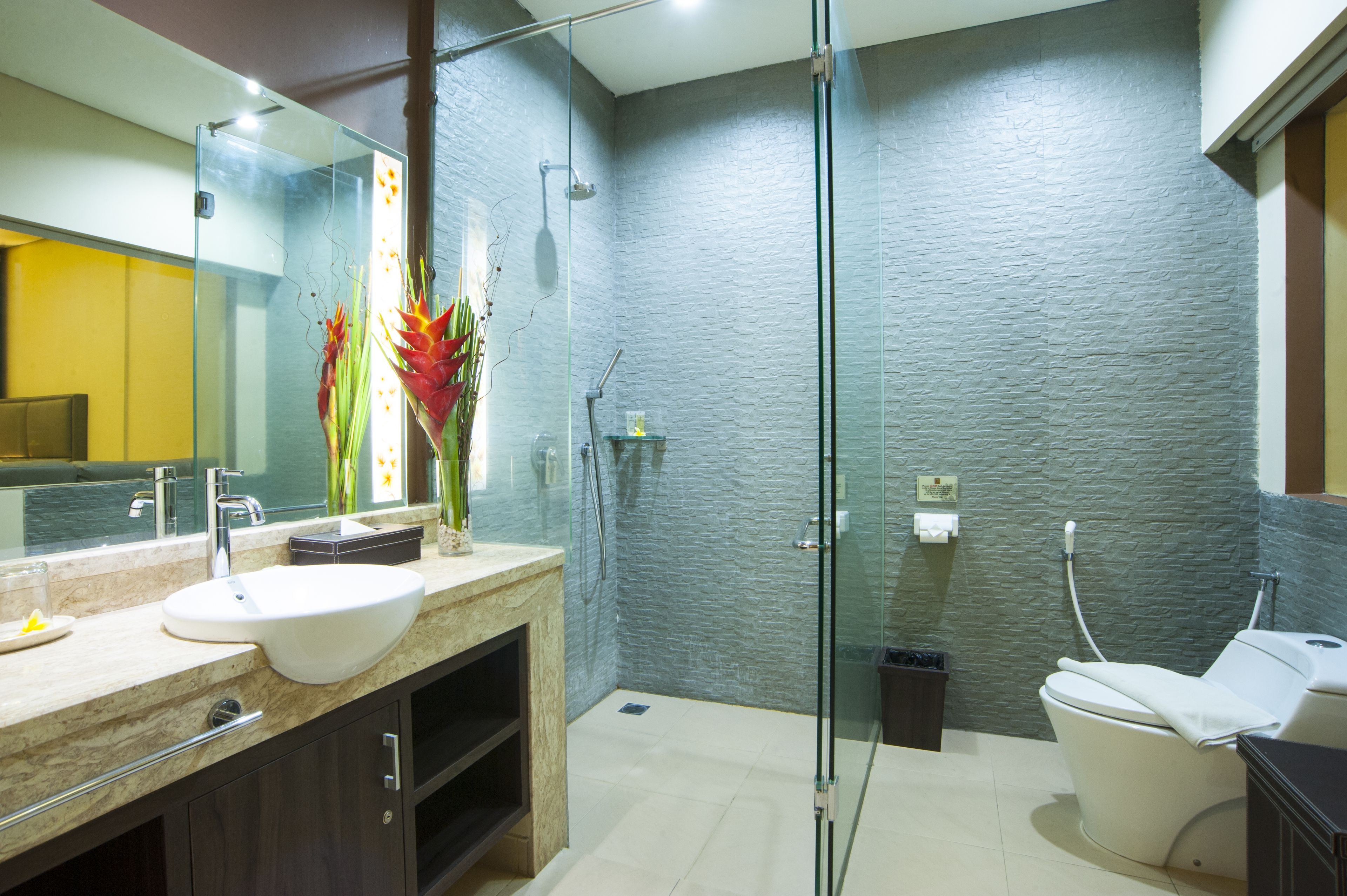 shower, free toiletries, hair dryer, bathrobes