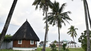 A thatched-roof hut with a wooden exterior, surrounded by palm trees and a grassy area. - King Arthur's Place (Alcoy)