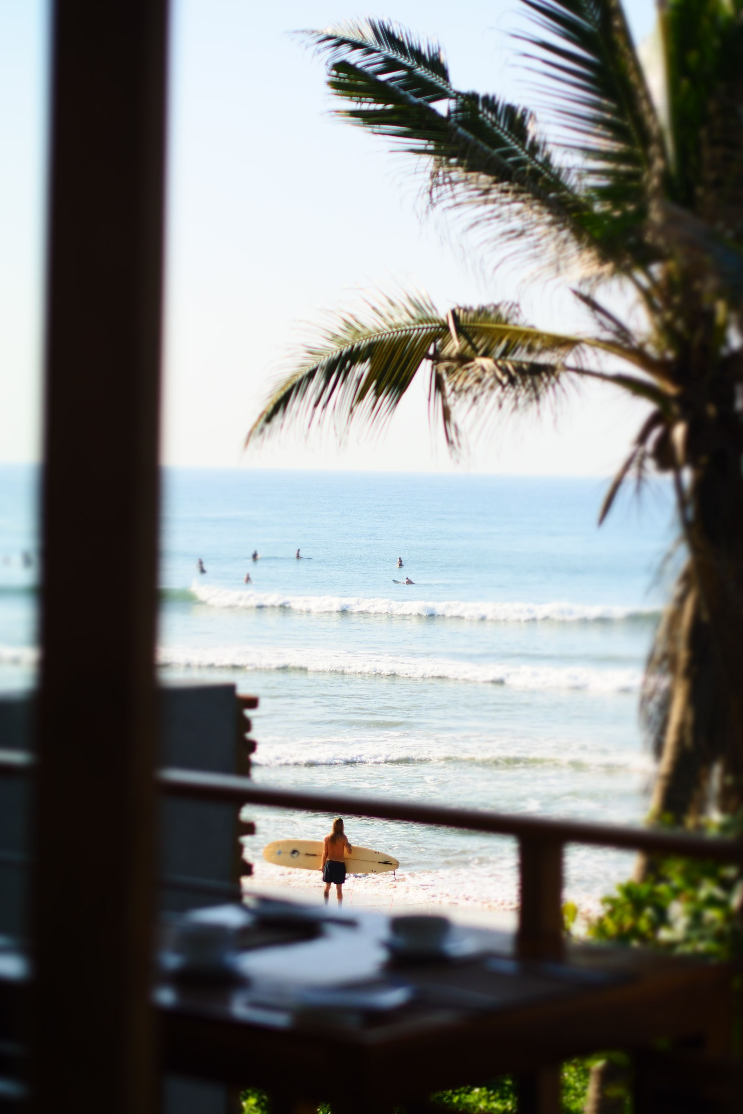 A beach view with a person carrying a surfboard, palm trees, and the ocean.