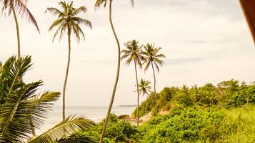 A view of a lush green landscape with palm trees and a beach in the distance.
