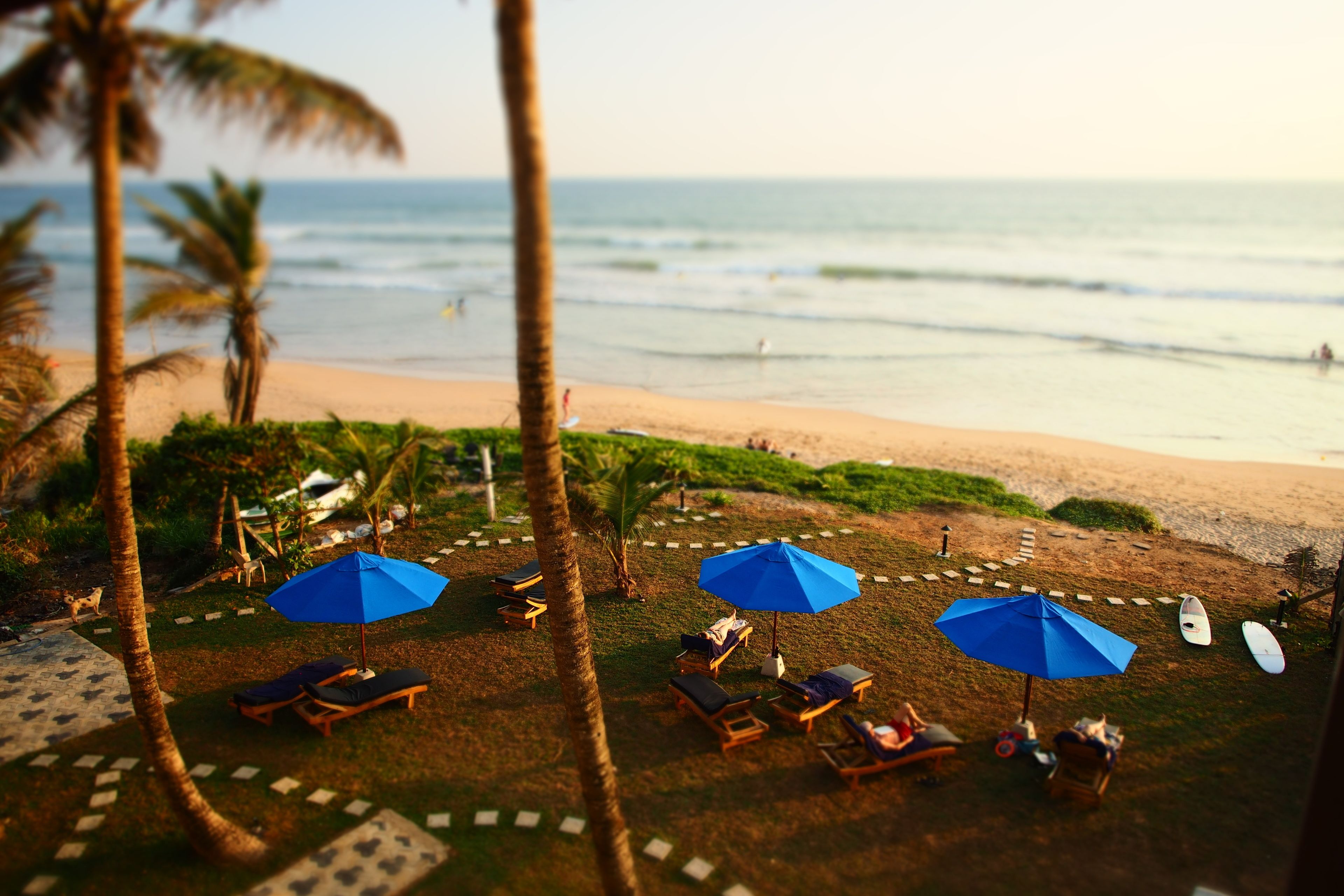 Vista desde la propiedad