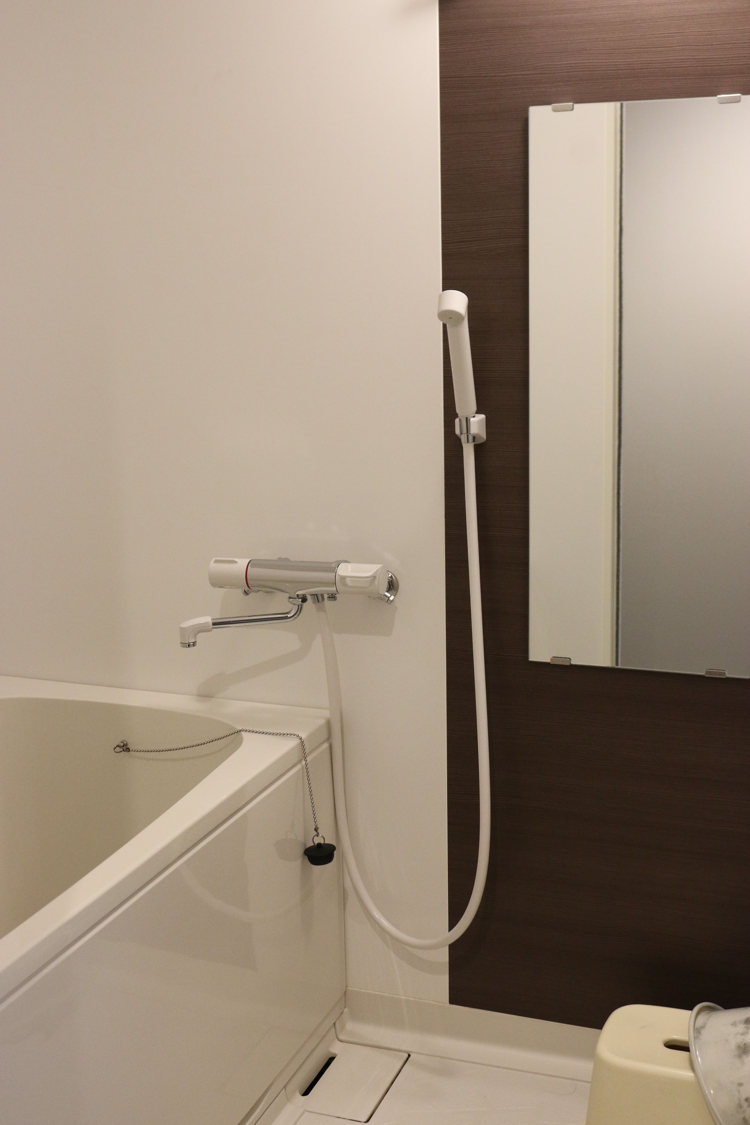 A bathroom with a bathtub, a toilet, and a mirror.