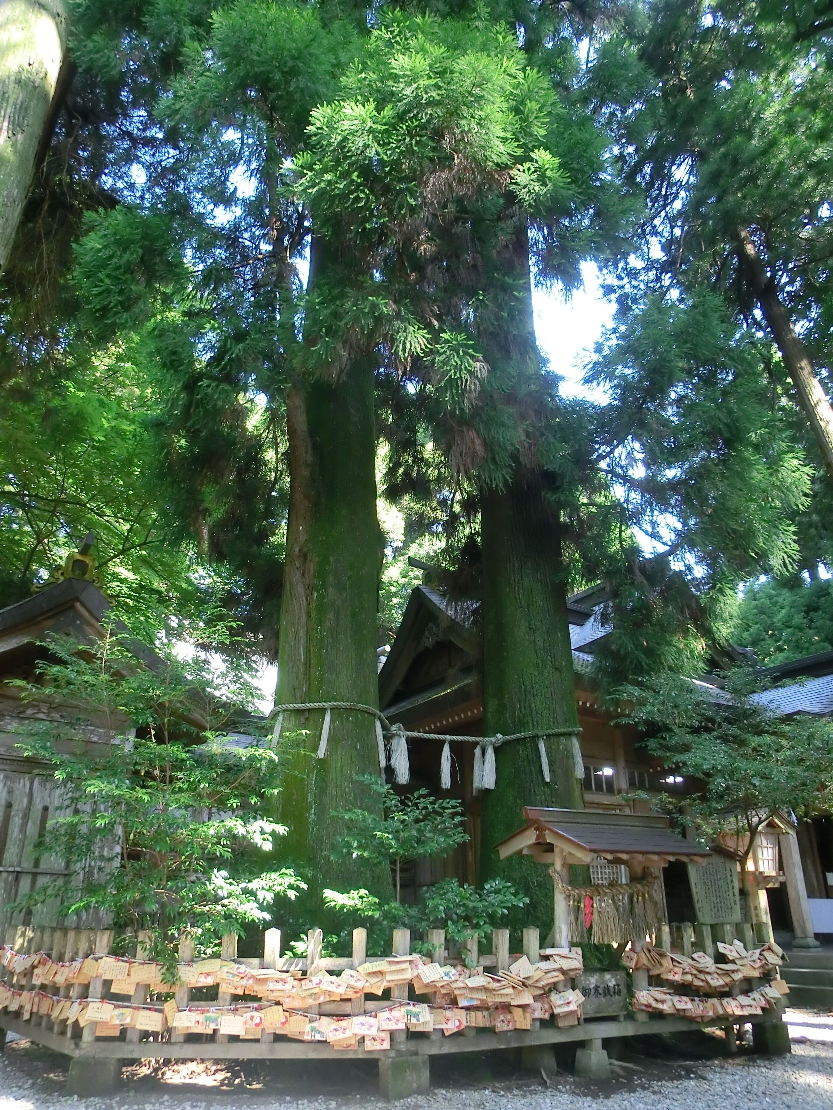สถานที่น่าสนใจ