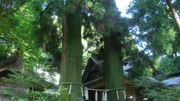 สถานที่น่าสนใจ