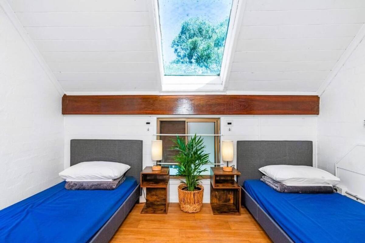 Una habitación pequeña y funcional con dos camas individuales, un tragaluz, un espejo y una planta en el centro.
