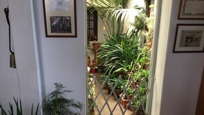 Una mesa de desayuno con diversos alimentos y bebidas, una planta en maceta y vistas de un jardín a través de un portón.
