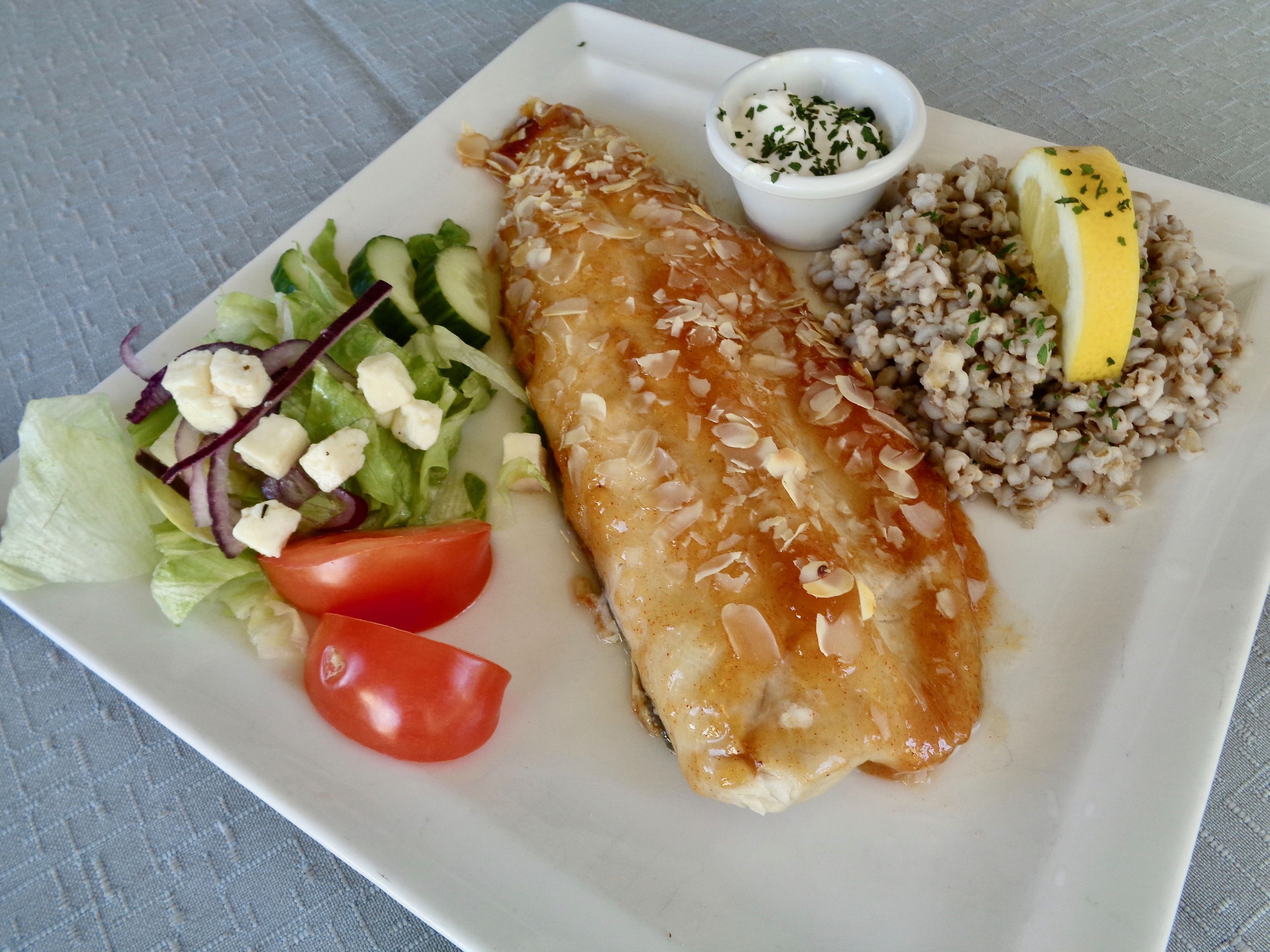 A plate with a fish fillet, salad, and grains.