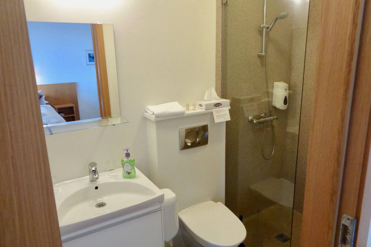 shower, free toiletries, hair dryer, towels