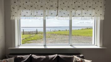 A window with a view of a grassy field and a body of water.