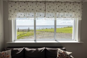 Una ventana con vista a un campo cubierto de hierba y una masa de agua.
