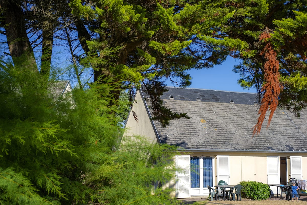 Appartement (5/6 pax) | Vue sur le parc
