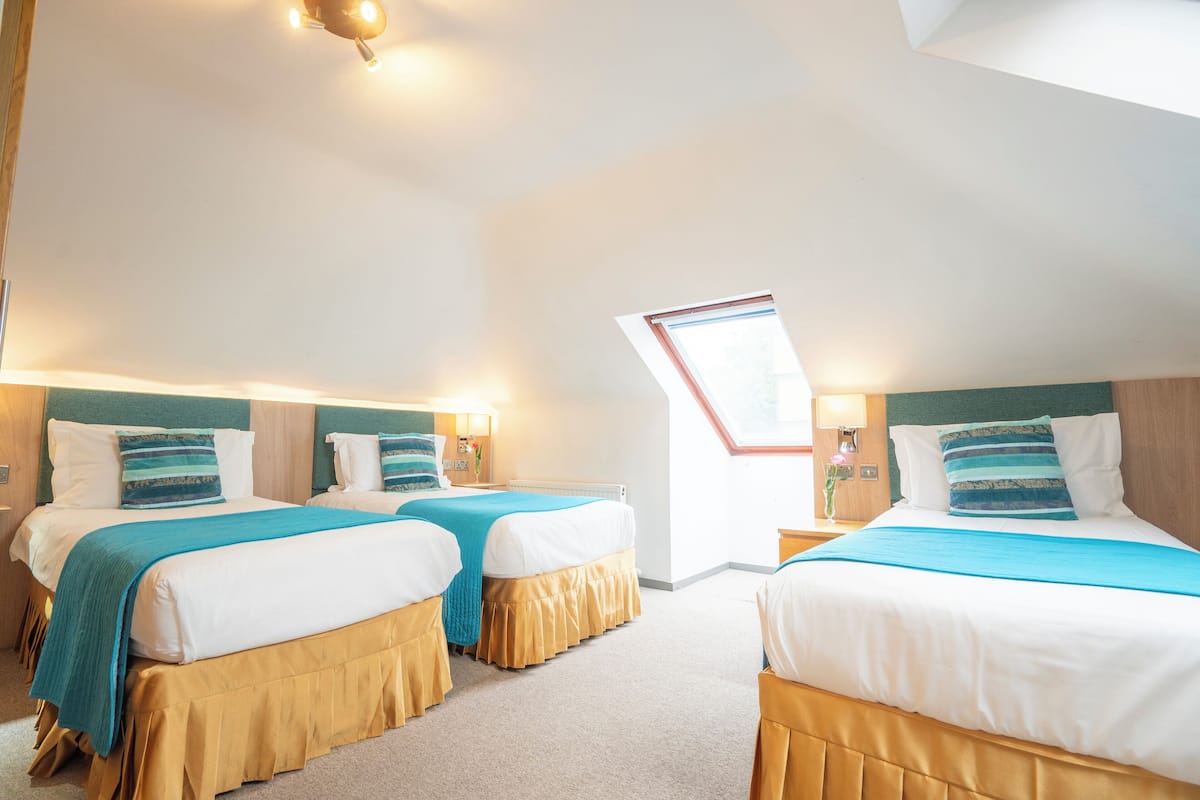 Triple Room | 1 bedroom, desk, iron/ironing board, free WiFi