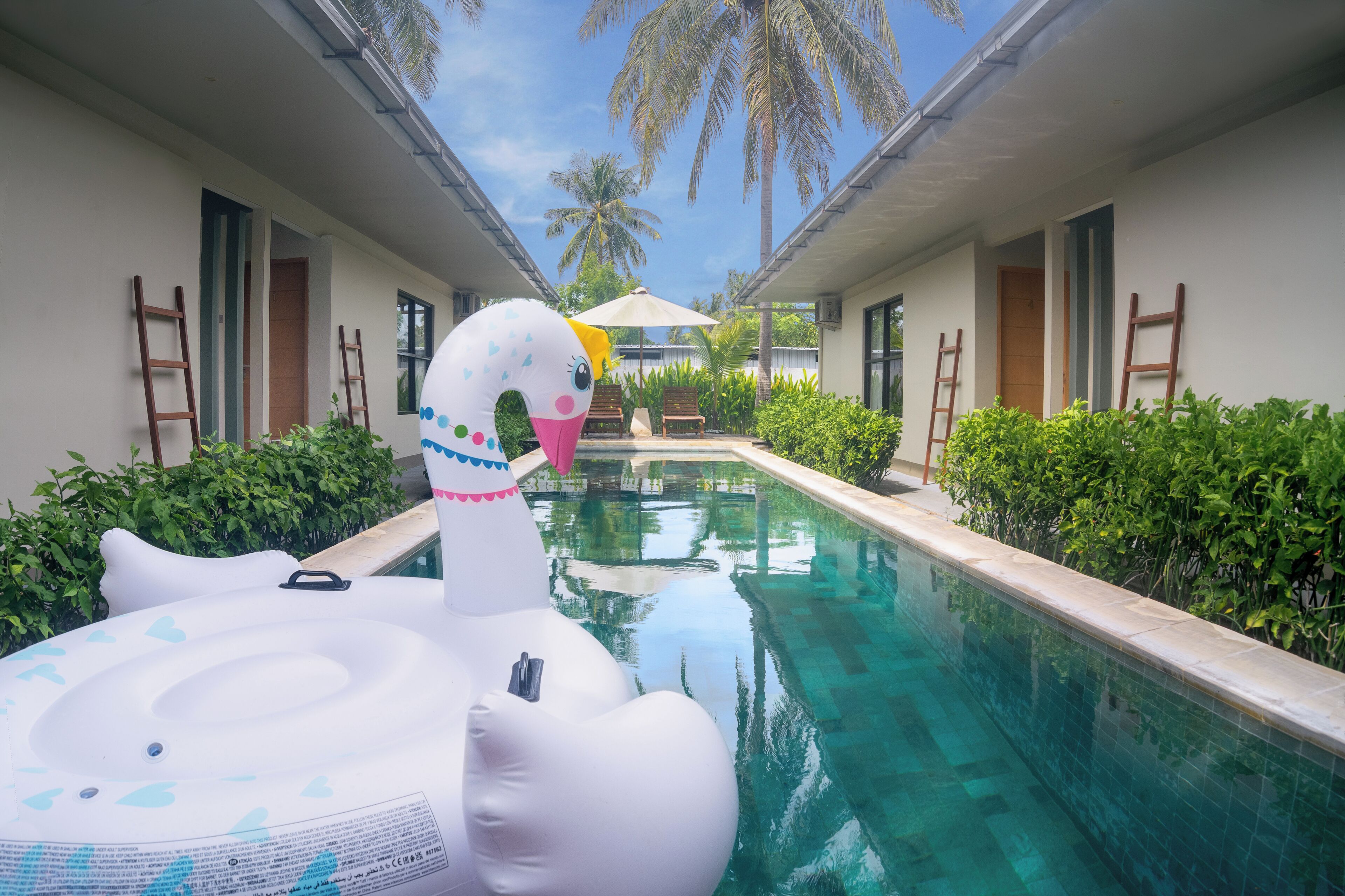 A swimming pool with a swan float, palm trees, and a covered seating area.
