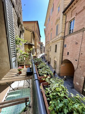 Vista desde la propiedad