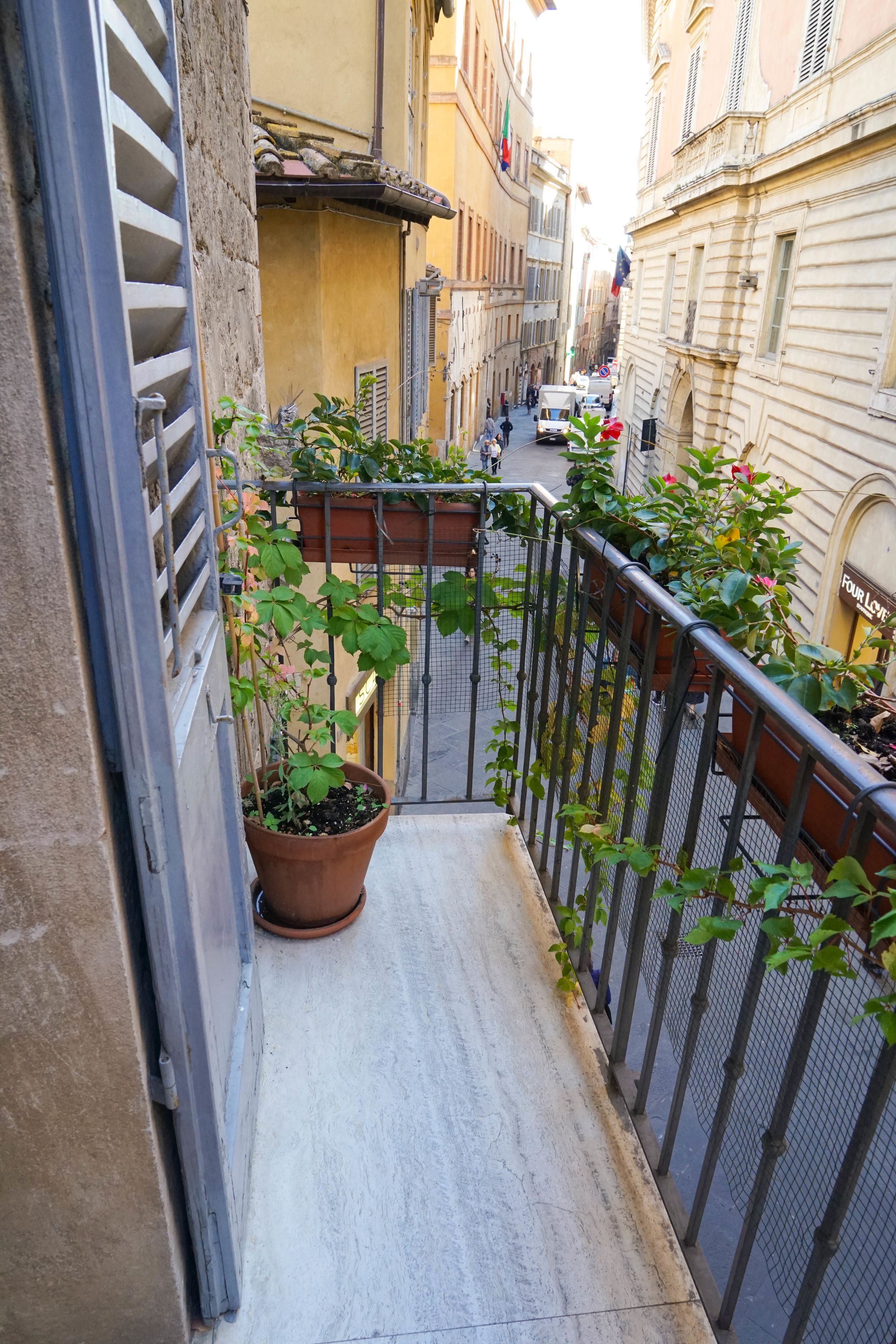 A narrow balcony with a potted plant, a metal railing, and a view of a street with buildings and a truck.