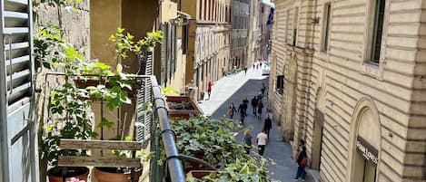 Quadruple Room | View from room